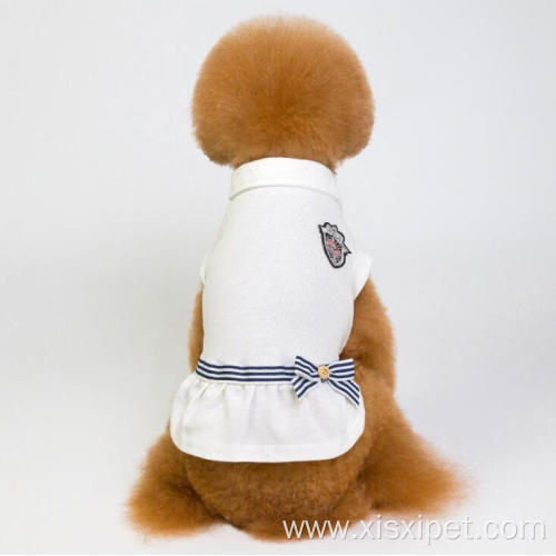 Fashionable lovable nice blank female dog dress clothes